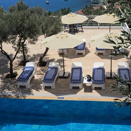 Oliva Mare