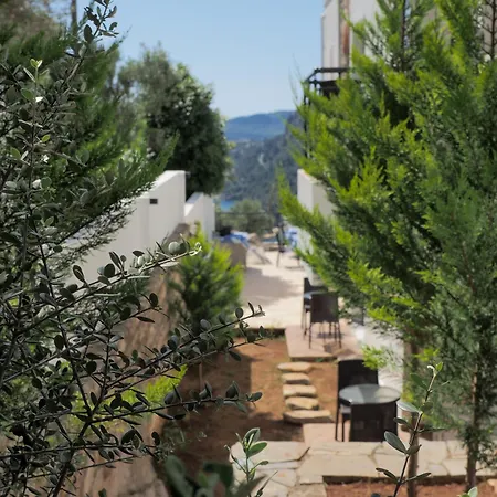 Oliva Mare 3* מרמריס